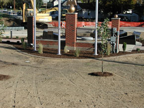 Recently Finish plant bed